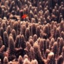 Synkro & Manos - Lost Here