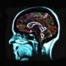 dimedroll - Various Shades Of Bass, Episode 04