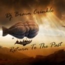 Dj Brain Crinkle - Return To The Past (Original Mix)