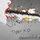 Tiger X.O - Beautiful Piano ()