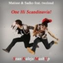 Matisse & Sadko vs. twoloud - One Hi Scandinavia!