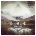 Roscoe - Lowlands (Niklas Thal Remix) ((Niklas Thal Remix))