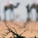 Andre Deluxe - Fata Morgana