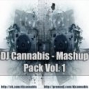 Chris Brown vs. Michel Amberg - Turn Up The Music