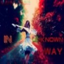 X-Wise - In Unknown Way