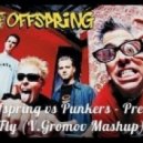 Offspring vs Punkers - Pretty Fly (V.Gromov Mashup)