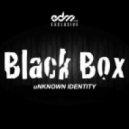 BlackBox - uNKNOWN IDENTITY (Original mix)