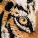 Survivor - Eye of the tiger