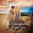 Shakira feat Rihanna - Can't Remember To Forget You