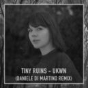 Tiny Ruins - Ukwn