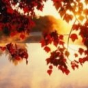 Dj Quincy Ortiz - Still Falling into Trance vol.172 ()