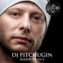 Yves Larock & Roland Richards vs Lookback, Absolut Groovers - Zookey (DJ Pitchugin Mashup)