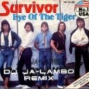 Survivor - Eye Of The Tiger