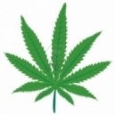 Framoc dj - Marijuana Techno Party