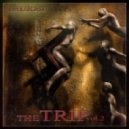 bRUJOdJ - The Trip Vol.2 ()