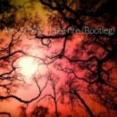 Alex Schulz - I See Fire