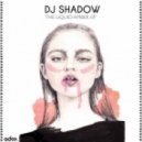 DJ Shadow - Ghost Town