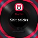 Bioritm - Shit Bricks ()