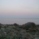 Fromance - Digital Rain