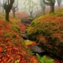 Kolourz - No Worries (Original mix)