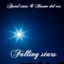 Aerial State & Fuente Del Oro - Falling Stars