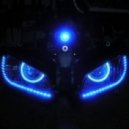 Liveonloan - Progenitor Sound