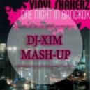 DJ Light ft. Alex Martin vs. Vinylshakerz - One Night In Bangkok (Dj Xim Mash-Up) (Dj-Xim Mash-Up)