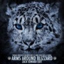 Thomas Newson & Magnificence vs. Hard Rock Sofa & Skidka - Arms Around Blizzard (Zack Edward Edit)