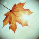 Sul - Picnic Autumn ()