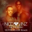 Nico ft. Vinz - Am I Wrong