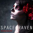 Space Raven - The Story Untold (Original Tracid Theory Mix Edit)