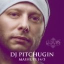 Pitbull feat. John Ryan vs. Alexx Slam & Mickey Martini - Fireball (DJ Pitchugin Mashup)
