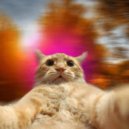 Alpdens - Every dance