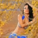 DJ AleX_Xandr - Arab passions (Original mix)