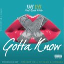 Yung Berg feat. Kevin Writer - Gotta Know