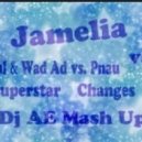 Jamelia vs. Faul & Wad Ad vs. Pnau - Superstar Changes (Dj AE Mash Up)