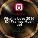 Haddaway - What is Love 2014