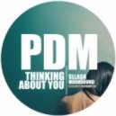 Sllash, Moonsound - Thinking About You (Paul Damixie Remix)