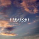 5 Reasons feat. Vijee - Shine For Me (Original mix)
