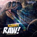 Kzeero - Raw (Original Mix)