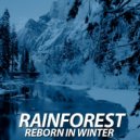 Rainforest - Reborn In Winter