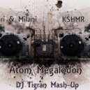 Nari & Milani & KSHMR - Atom Megalodon (DJ Tigran Mash-Up 2014)