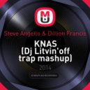 Steve Angello & Dillion Francis - KNAS