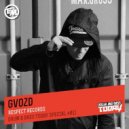 GVOZD - DnB Today