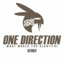 One Direction - What Makes You Beautiful (Steven Pierce Remix)