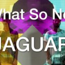 What So Not - Jaguar