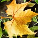 Dave - Echoes Of The Strings