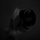 Christos Fourkis feat. Lady Danny - Black Rose (Ali Inzel Remix)