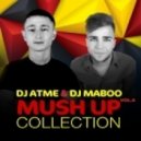 Pink vs. Rob & Chris - So What (DJ Atme & DJ Maboo Mashup)