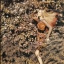 Marokone - Jealous lady